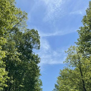 Passage - Single