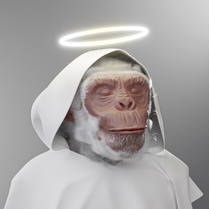 Avatar for Boreal Monkey