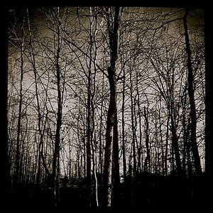 Harmony of the Dead