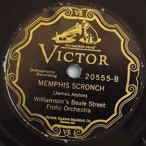 Williamson's Beale Street Frolic Orchestra 的头像