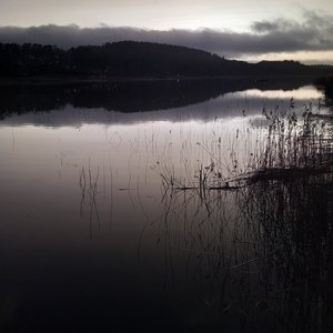 Midnattstankar