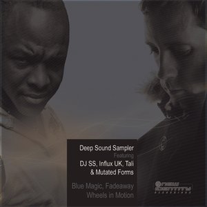 Deepsound Vol. 1 Sampler