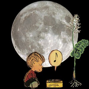 MoOnwort 的头像