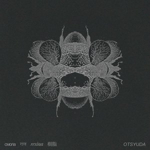 resin