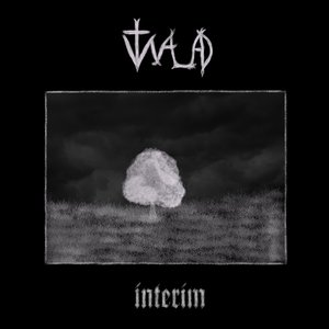 interim