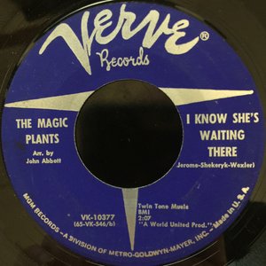 I Know She's Waiting There / I'm A Nothing