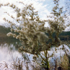 Don't Forget It / Over Everything