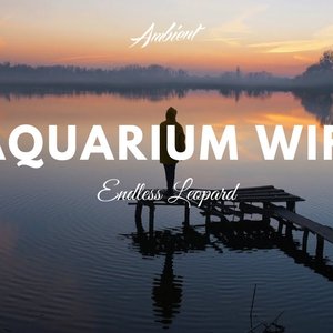 Aquarium WiFi