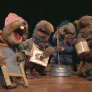 The Jugband 的头像