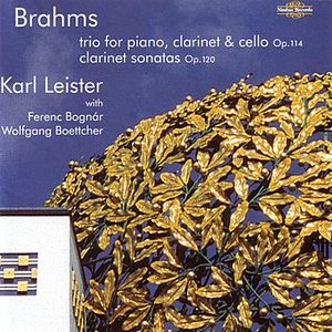 Brahms - The Clarinet Sonatas and Trio