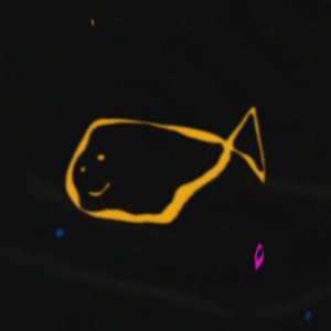 A. Whales 的头像