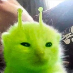 Avatar for DreamSoda