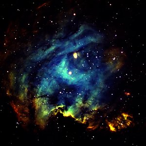 Space Thrive