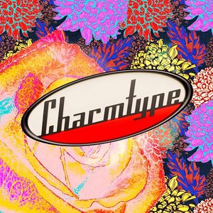 Charmtype 的头像