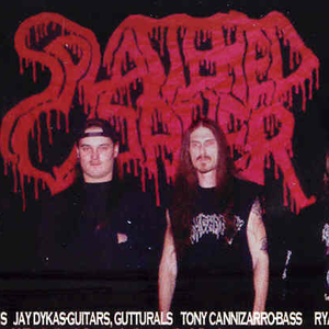Splattered Cadaver photo provided by Last.fm