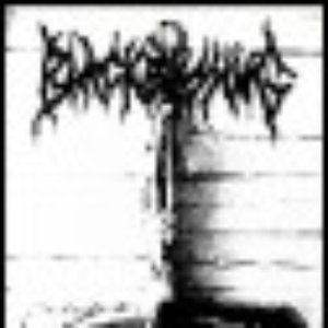 Black Metal Propaganda