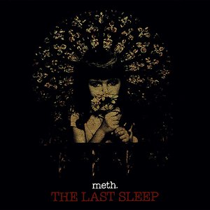 THE LAST SLEEP