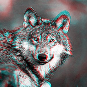 Avatar for WOLF 3D