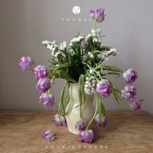 Gold Colours - Single