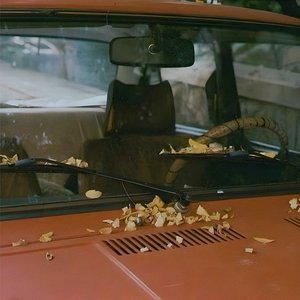 leaves fall - Single