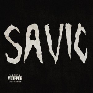 Savic 2.5