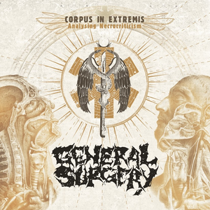 Corpus in Extremis: Analysing Necrocriticism cover