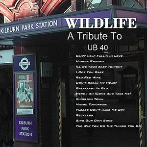 A Tribute To UB40