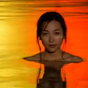 秋の紅葉が目の前に落ちる