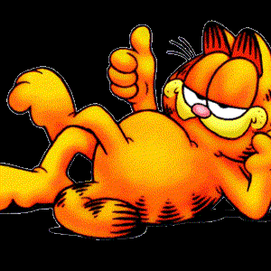 Garfield y sus Amigos 的头像