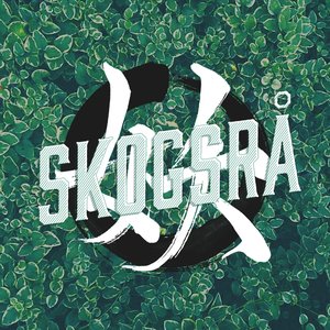 Skogsrå 的头像