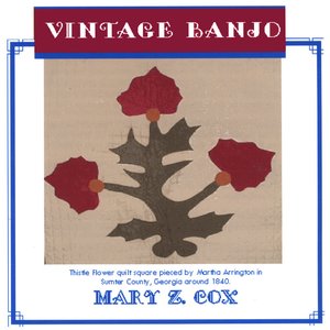 Vintage Banjo
