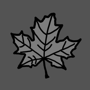 MapleSnoople 的头像