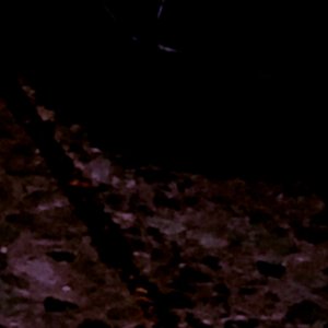 22/2/22/_FM2/L