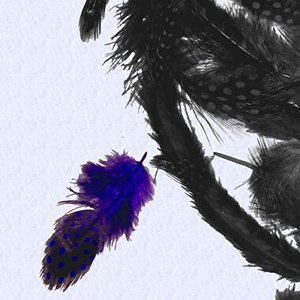 Bjorshin [Explicit]
