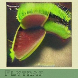 Flytrap