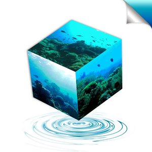 【Ｆｕｔｕｒｅ Ａｑｕａｒｉｕｍｓ ＬＴＤ】