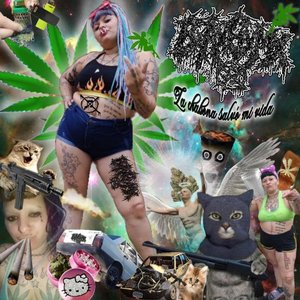Avatar for BxAxGxMx