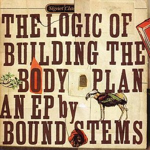 The Logic Of Building The Body Plan