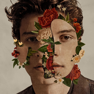 Shawn Mendes cover