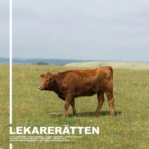 Lekarerätten