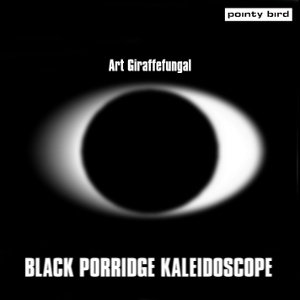 Black Porridge Kaleidoscope