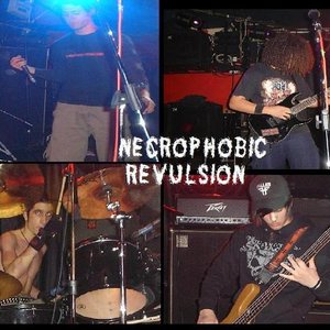 Necrophobic Revulsion 的头像