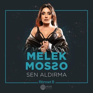 Sen Aldırma (İbrahim Erkal Hürmet 2) - Single