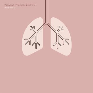 Polyvinyl 4-Track Singles Series, Vol. 1