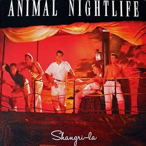 Native Boy cover