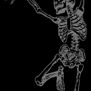 DJ SKELETONE -|AAMG|- 的头像