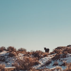 Dreaming of Summer in Winter