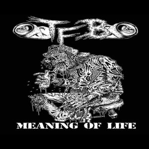 Meaning of Life