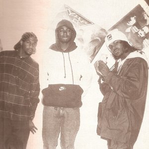 Young D Boyz 的头像