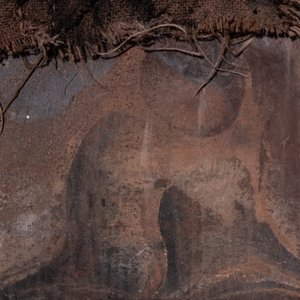 Vitrea - Single